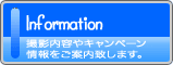 撮影の内容やキャンペーンを紹介します。